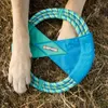 Ruffwear Pacific Ring Toy ⌀  27cm, Farbe:Aurora Teal Produktbild-Vorschau 13