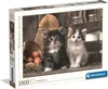 Collezione di alta qualità - Gattini carini (1000 pezzi) - Anteprima dell’immagine prodotto 5