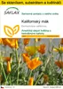 SAFLAX Kultivační sada - Kalifornský mák - Eschscholzia Náhled obrázku produktu 1