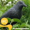 KADAX Black Raven « Krokom », plastique, répulsif pour Voir les images du produit 14