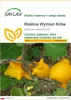 SAFLAX - Roślina Wymion Krów - 10 Nasiona - Solanum Podgląd zdjęcia produktu 1