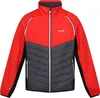 Regatta Steren Hybrid Softshelljacke für Herren mit Produktbild-Vorschau 6