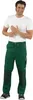 Planam Bundhose Canvas 320 Gr. 48 grün Produktbild-Vorschau 13