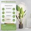 Grote 24V Plantenlamp met Vol Spectrum en Timer Productafbeelding-voorbeeld 4