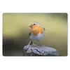 MuchoWow® Mauspad Mousepad Pfahl - Rotkehlchen - Natur Produktbild-Vorschau 1