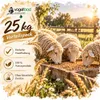 25 kg paszy pszenicznej dla kurczaków, ptaków i królików Podgląd zdjęcia produktu 3