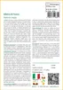 SAFLAX  - Albero di fuoco - 6 semi - Delonix Anteprima dell’immagine prodotto 3