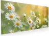 Küchenrückwand Spritzschutz Glas mit Motiv Blühende Produktbild-Vorschau 1