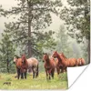 MuchoWow® Poster Pferde - Wald - Nebel 50x50 cm - Produktbild-Vorschau 1