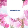 Allzweckreiniger Blütenfrische 3130424 1500ml Packung mit 5 Produktbild-Vorschau 6