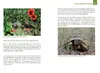 Der Schildkröten-Gärtner - Naturnahe Ernährung Europäischer Produktbild-Vorschau 6