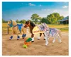 PLAYMOBIL: Tři sběratelské figurky koní Náhled obrázku produktu 3