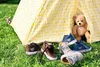 Steiff Miś Fynn 28 cm Podgląd zdjęcia produktu 7