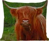 MuchoWow® Outdoor Kissen - Schottisches Hochlandrind - Kuh Produktbild-Vorschau 1