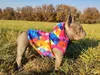 nted Dog Nepromokavá softshellová bunda pro psa - Rain Náhled obrázku produktu 3