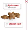 Royal Canin Hundetrockenfutter Adult Mini 2 kg Geflügel Produktbild-Vorschau 5