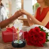 Relaxdays Večná ruža v pohári, LED osvetlenie, rozmery: 22 Náhľad obrázku produktu 5