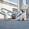 Dogxi Laisse pour chien Laisse à enrouleur 5 m Chien 25 kg Voir les images du produit 2
