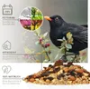 Futtertraum - Bodenfresser Spezial Mix 5kg Produktbild-Vorschau 2