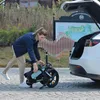 Vélo électrique pliable, catégorie C2, roues de 16 pouces, Voir les images du produit 17