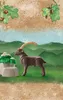 PLAYMOBIL Wiltopia 71050 Steenbok Productafbeelding-voorbeeld 10