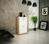 A modern entryway with a shoe cabinet, plant, and artwork. Produktbild-Vorschau