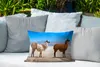 MuchoWow® Outdoor Kissen - Lama - Wüste - Berge - 50x30 cm Produktbild-Vorschau 4
