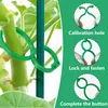200 Stück Gartenklammern, Pflanzenstützklammern, Produktbild-Vorschau 4