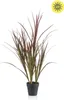 Emerald Künstliches Gras - Matilda | 90 cm, UV-beständig, Produktbild-Vorschau 1