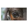 DEQORI Hybrid Leinwand Bild 100x50 cm 'Blick der Produktbild-Vorschau 2
