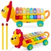 Zabawka edukacyjna cymbałki, ksylofon Lion RK-740 Ricokids Podgląd zdjęcia produktu 1