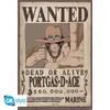 ONE PIECE - Plakát Maxi 91,5x61 - Wanted Ace Náhled obrázku produktu 5