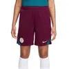 Nike Paris Saint-Germain Dri-FIT Strike Short Herren Voir les images du produit 7
