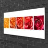 Acrylglasbilder 100x50 Wandbild Druck Rosen Pflanzen Produktbild-Vorschau 2