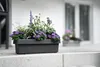 Geli Bewässerungsblumenkasten VIVA Anthrazit 60 x 21,2 cm - Produktbild-Vorschau 5