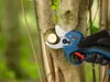 Bosch GGP18V-32 Accu-snoeischaren, 18V Productafbeelding-voorbeeld 6