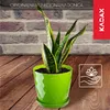 KADAX Doniczka Plastikowa z Podstawką Donica Osłonka Na Podgląd zdjęcia produktu 3