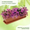 MePla - Set - Balkonkasten Balcony mit Bewässerung 60 cm + Produktbild-Vorschau 7
