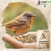 25 kg Streufutter mit Mehlwürmer Wildvögel Sommerstreu Produktbild-Vorschau 2