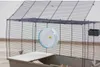 Ruota per criceti ø 20 cm x 8 cm in plastica Anteprima dell’immagine prodotto 6