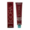 Schwarzkopf Igora Royal, Braun, 6-00, Frauen, 60 ml, Tube, Produktbild-Vorschau 2