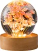 Nachtlicht in Blumenform mit Kristallkugel, 2,4 Zoll großes Produktbild-Vorschau 1