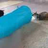 Relaxdays Tunnel pieghevole per gatti, tunnel con Anteprima dell’immagine prodotto 5