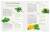 Die Ernährungs-Docs - Supergesund mit Superfoods Produktbild-Vorschau 6