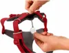 Postroj pre psov Ruffwear Front Range™ Náhľad obrázku produktu 11