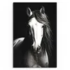 DEQOART Hybrid Leinwand Bild 60x90 cm 'Seelenblick des Produktbild-Vorschau 2