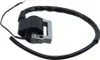 Zündspule 6V für Yamaha FS1 DX FS1DX Chappy LB50 RD DT 50 Produktbild-Vorschau 2