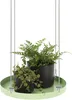 Esschert Design PY120, 240 mm, 240 mm, 21 mm, 1 Stück(e) Produktbild-Vorschau 3