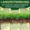 DÜNGEMEISTER Herbst Rasendünger – mit Langzeitwirkung und Produktbild-Vorschau 4