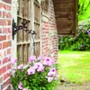 Esschert Design Hanging Basket Haken Vogel Giftbox; BR21; Produktbild-Vorschau 9
